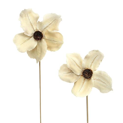 Floristik24 Dřevěný květ jako zátka, bělený Ø9-12cm L45cm 15 kusů
