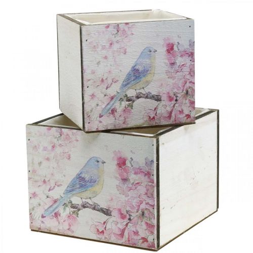 Floristik24 Truhlíky na rostliny s potiskem ptáků, květináč, jaro, dekorativní truhlík na výsadbu, vintage vzhled L17/15cm H13/11cm sada 2 ks