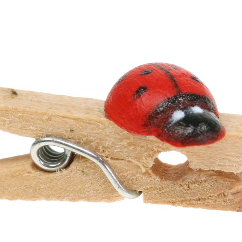 položky Ozdobné dřevěné sponky berušky 2,5cm 180 ks