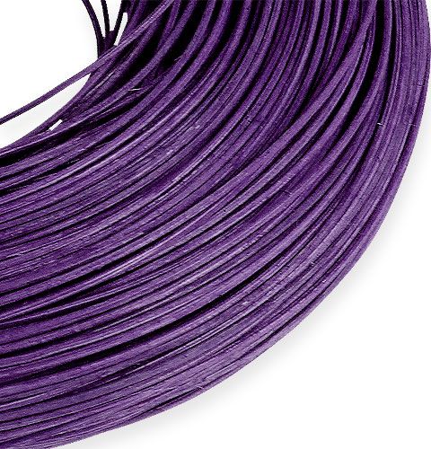 Floristik24 Proutěná třtina fialová 1,3mm 200g