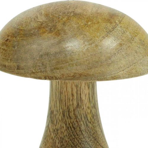 Floristik24 Dřevěná houba přírodní, žluté podzimní deko dřevěné houby 12×10cm
