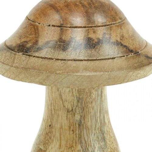 položky Dřevěná houba s drážkami Podzimní deko houba přírodní mangové dřevo 10×Ø8cm