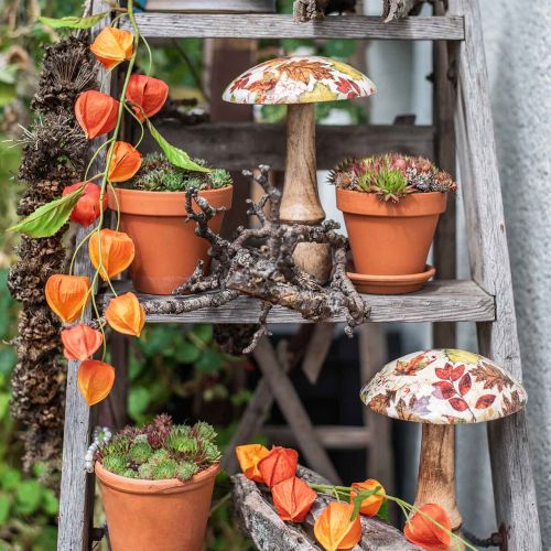 Floristik24 Dřevěná houbová deko podzimní listí bílá, barevná podzimní dekorace Ø13cm V19cm