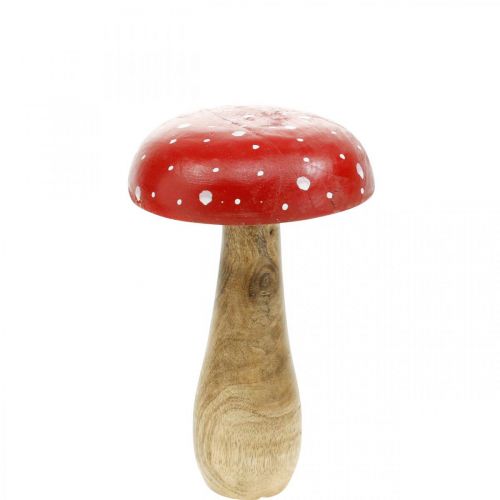 Floristik24 Muchomůrka dřevěná dekorační houba podzimní Ø12cm V19cm