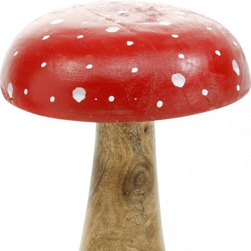 Floristik24 Muchomůrka dřevěná dekorační houba podzimní Ø12cm V19cm