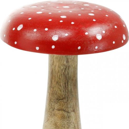 Floristik24 Mucholapka dřevěná velká podzimní dekorace houba Ø14cm V24cm