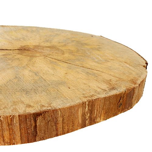 Floristik24 Dřevěný kotouč přírodní 25cm - 30cm