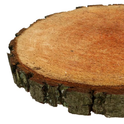 Floristik24 Dřevěný kotouč z přírodní olše Ø20cm - 24cm