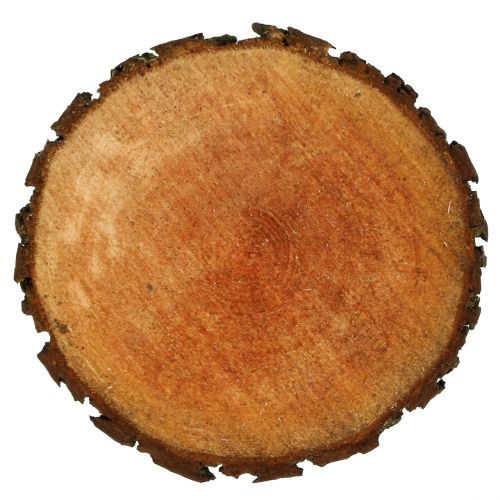 Floristik24 Dřevěný kotouč z přírodní olše Ø20cm - 24cm
