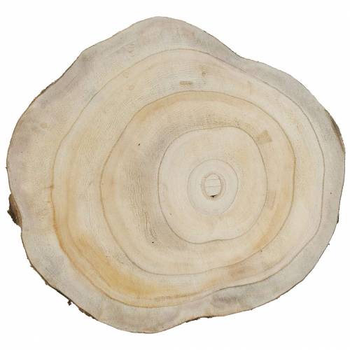 Floristik24 Dřevěný kotouč přírodní Ø25-32cm