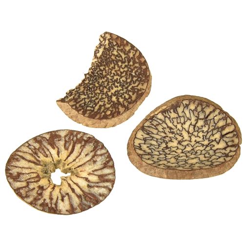 položky Dřevěné kotoučky dekorativní plátky betelových ořechů areca 1-3,5 cm 300 g