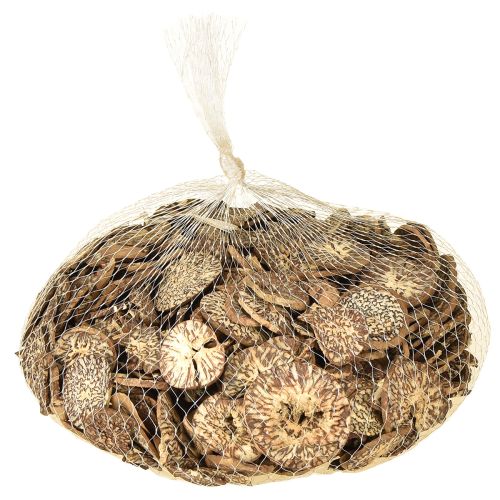 položky Dřevěné kotoučky dekorativní plátky betelových ořechů areca 1-3,5 cm 300 g