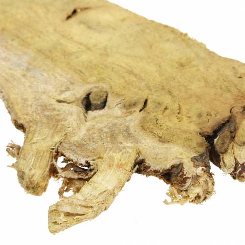 Floristik24 Deko dřevěné kotouče přírodní 1kg