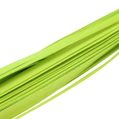 Floristik24 Dřevěné pásy jarní zelená 95cm - 100cm 50p