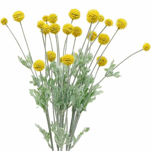Floristik24 Palička žluté umělé květiny Craspedia hedvábí