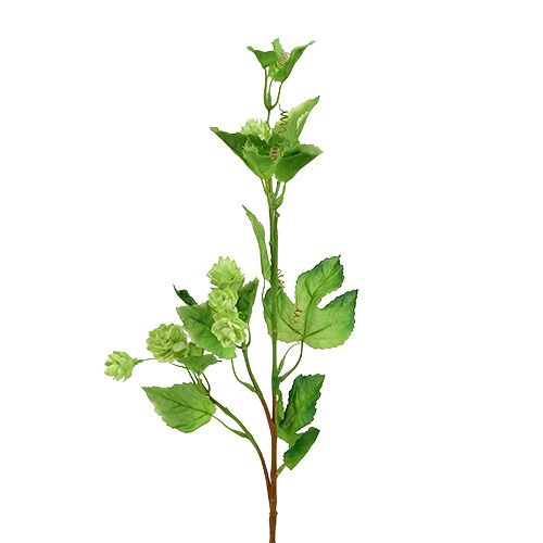 položky Větev chmele 70cm zelená 2ks Umělá rostlina jako skutečná!