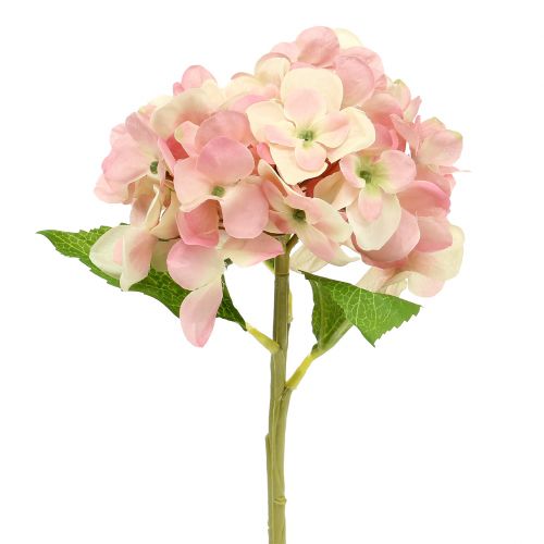 Floristik24 Hortenzie růžová, krémová 36cm