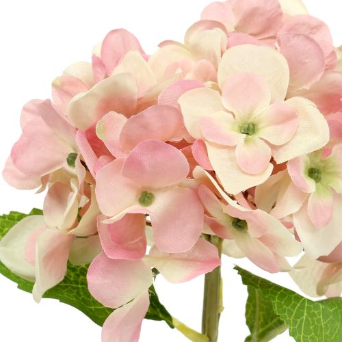 Floristik24 Hortenzie růžová, krémová 36cm