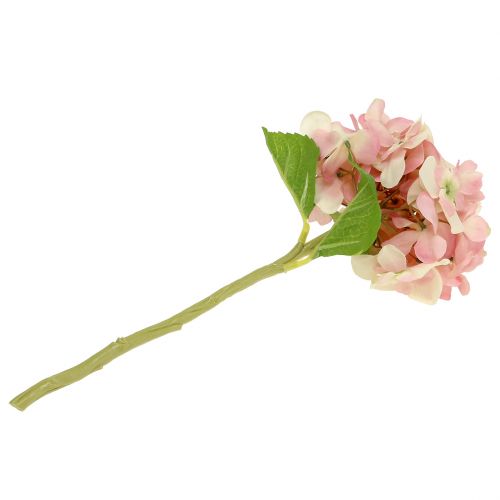 Floristik24 Hortenzie růžová, krémová 36cm