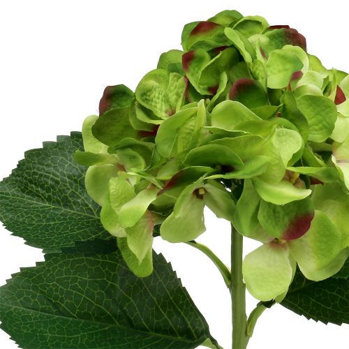 Floristik24 Hortenzie zelená umělá na dekoraci L54cm