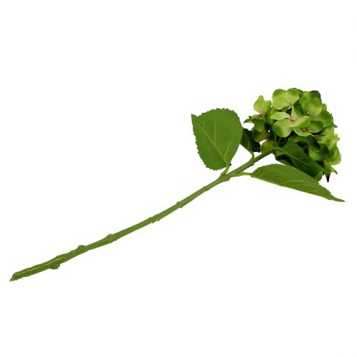 Floristik24 Hortenzie zelená umělá na dekoraci L54cm