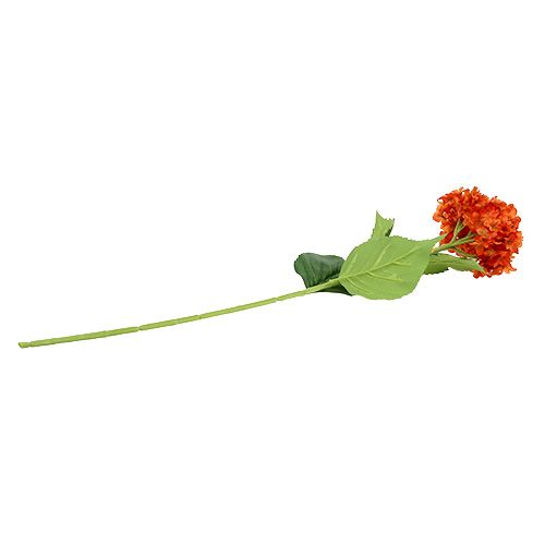 Floristik24 Hortenzie oranžová 80cm 1ks