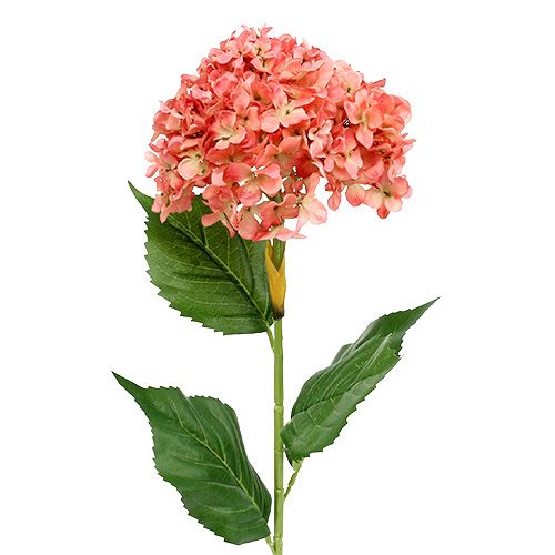 Floristik24 Hortenzie růžová 80cm 1 kus