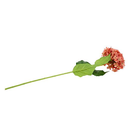 položky Hortenzie růžová 80cm 1 kus