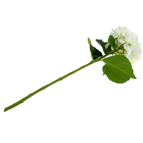 Floristik24 Hortenzie bílá L54cm 1ks