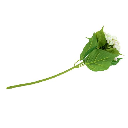 Hortenzie bílo-zelená 60cm | Floristik24.cz
