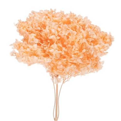 Kytice sušených hortenzií pro elegantní květinovou výzdobu doma, 65 cm