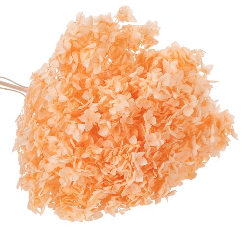 položky Kytice sušených hortenzií pro elegantní květinovou výzdobu doma, 65 cm