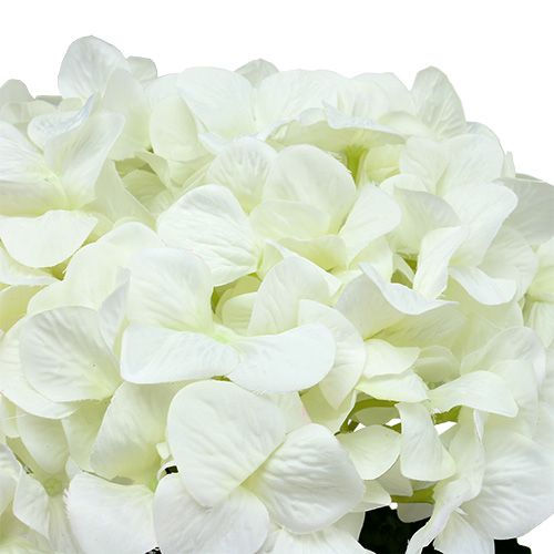 položky Hydrangea Maxi White Ø30cm L113cm