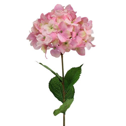 Floristik24 Hortenzie růžová 68cm