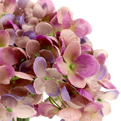Floristik24 Hrozen hortenzie L25cm fialový