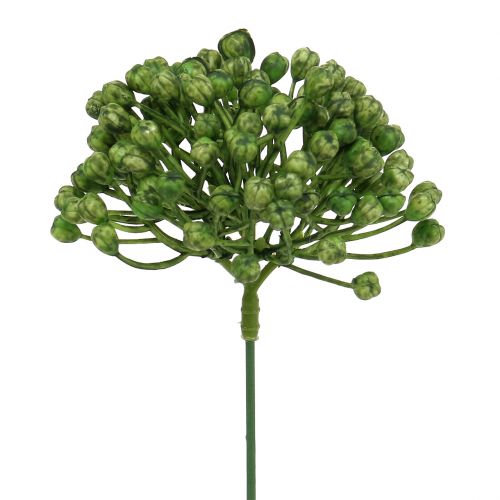 Floristik24 Hortenzie pupen 22 cm zelený 12 ks