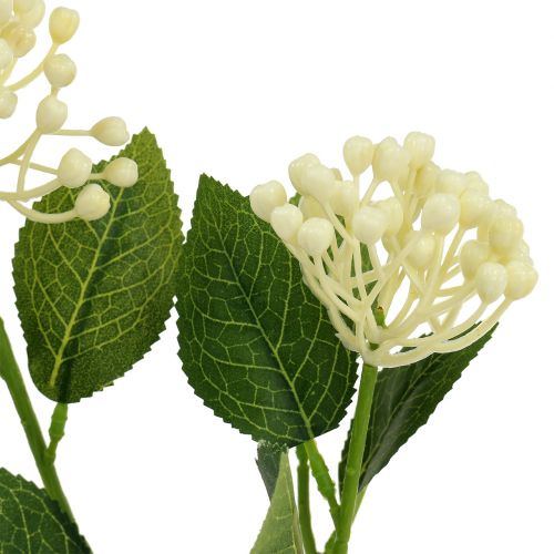 položky Hydrangea pupen branch 55cm cream 6ks