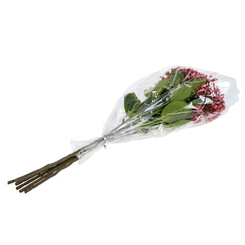Floristik24 Hortenzie pupenová větev 55cm růžová 6ks