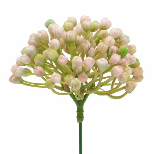 Floristik24 Hydrangea pupen pick 21cm pink 12 ks