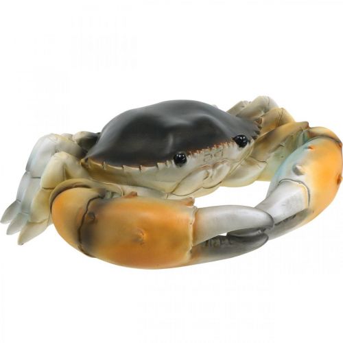 Mořský tvor, plážový krab, námořní dekorace oranžovohnědá 31×25cm
