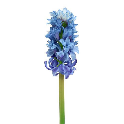 Floristik24 Hyacint umělý modrý, bílý 31cm 3ks