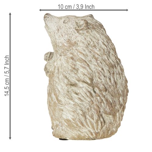 Floristik24 Podzimní dekorace ježka z litého kamene, bíle natřená, výška 14,5 cm