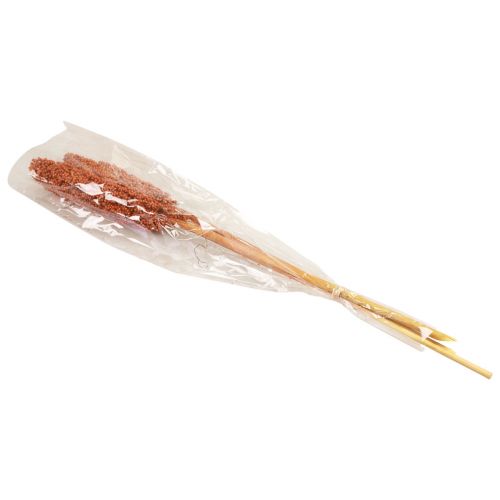 Floristik24 Indická kukuřice sušené květiny Indická kukuřice pomeranč 72cm 3 ks