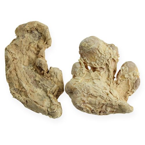 položky Dekorace ze sušeného zázvoru přírodní dekorace 500g