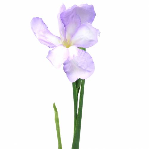 Floristik24 Iris umělá fialová 78cm
