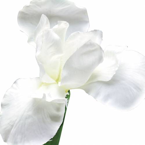 Floristik24 Iris umělá bílá 78cm