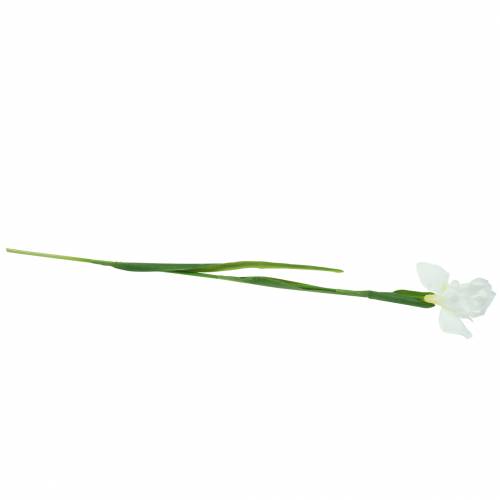Floristik24 Iris umělá bílá 78cm