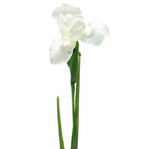 Floristik24 Iris umělá bílá 78cm