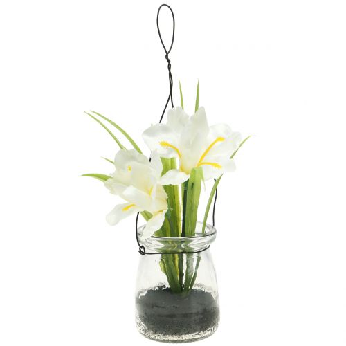 Floristik24 Iris bílý ve skle na zavěšení V21,5cm