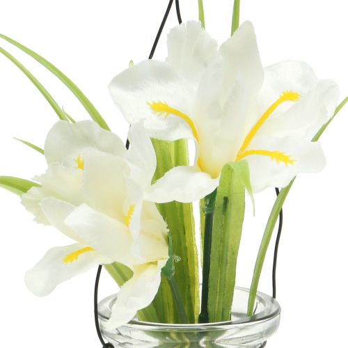 Floristik24 Iris bílý ve skle na zavěšení V21,5cm